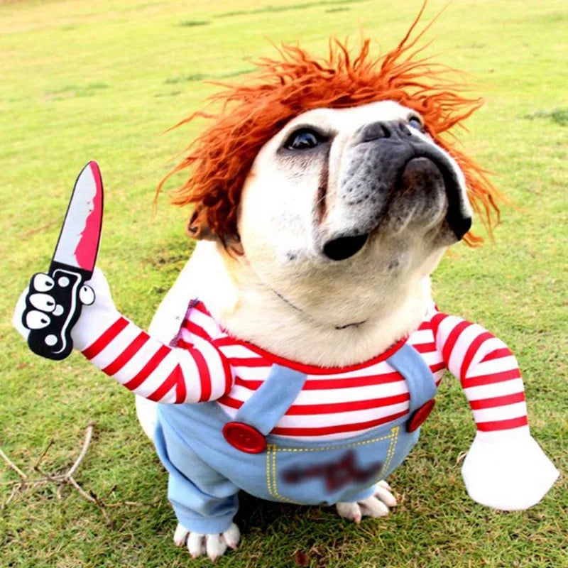 Fantasia Chucky para Pet, Halloween