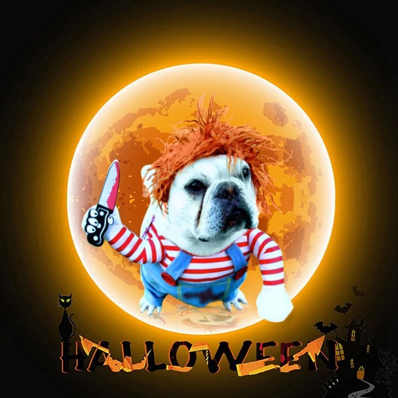 Fantasia Chucky para Pet, Halloween