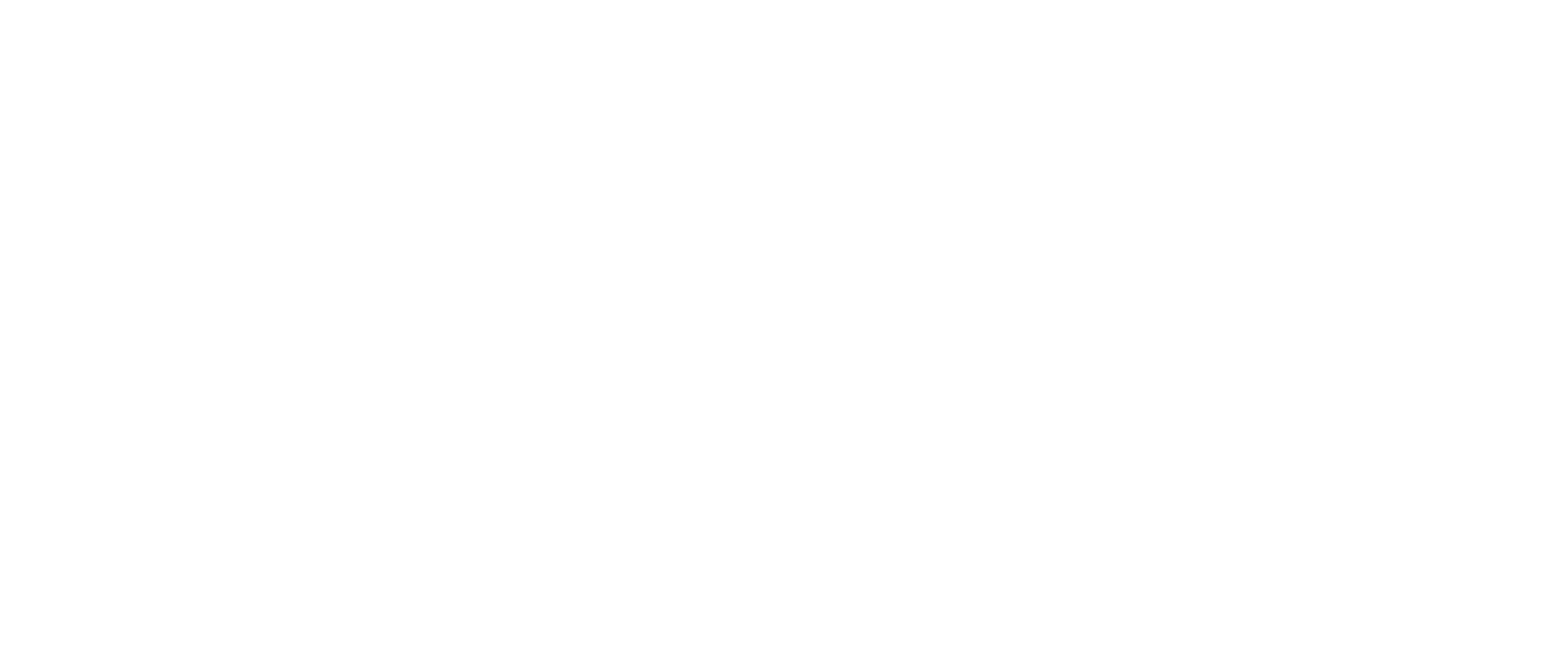 thepunkada