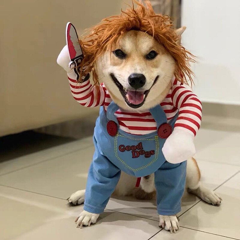 Fantasia Chucky para Pet, Halloween