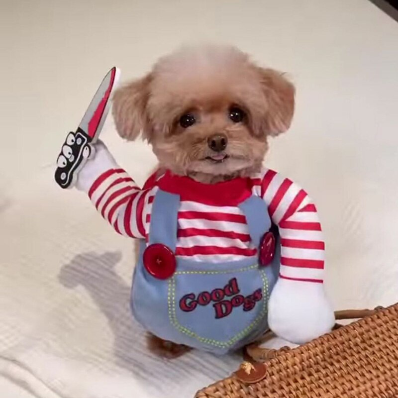 Fantasia Chucky para Pet, Halloween