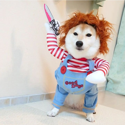 Fantasia Chucky para Pet, Halloween